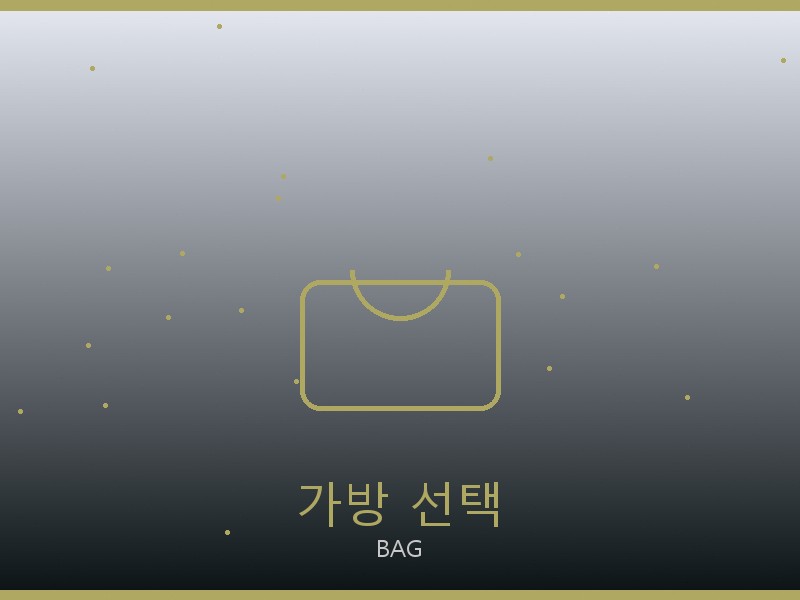 내셔널지오그래픽 레플리카 사이트 가방 선택 가이드