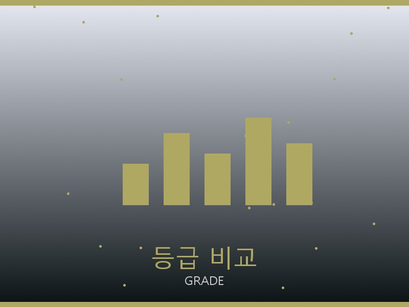 내셔널지오그래픽 레플리카 사이트 등급 기준 비교