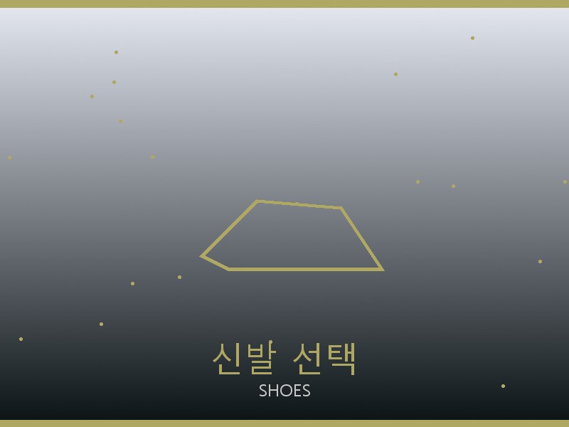 내셔널지오그래픽 레플리카 사이트 신발 선택 가이드